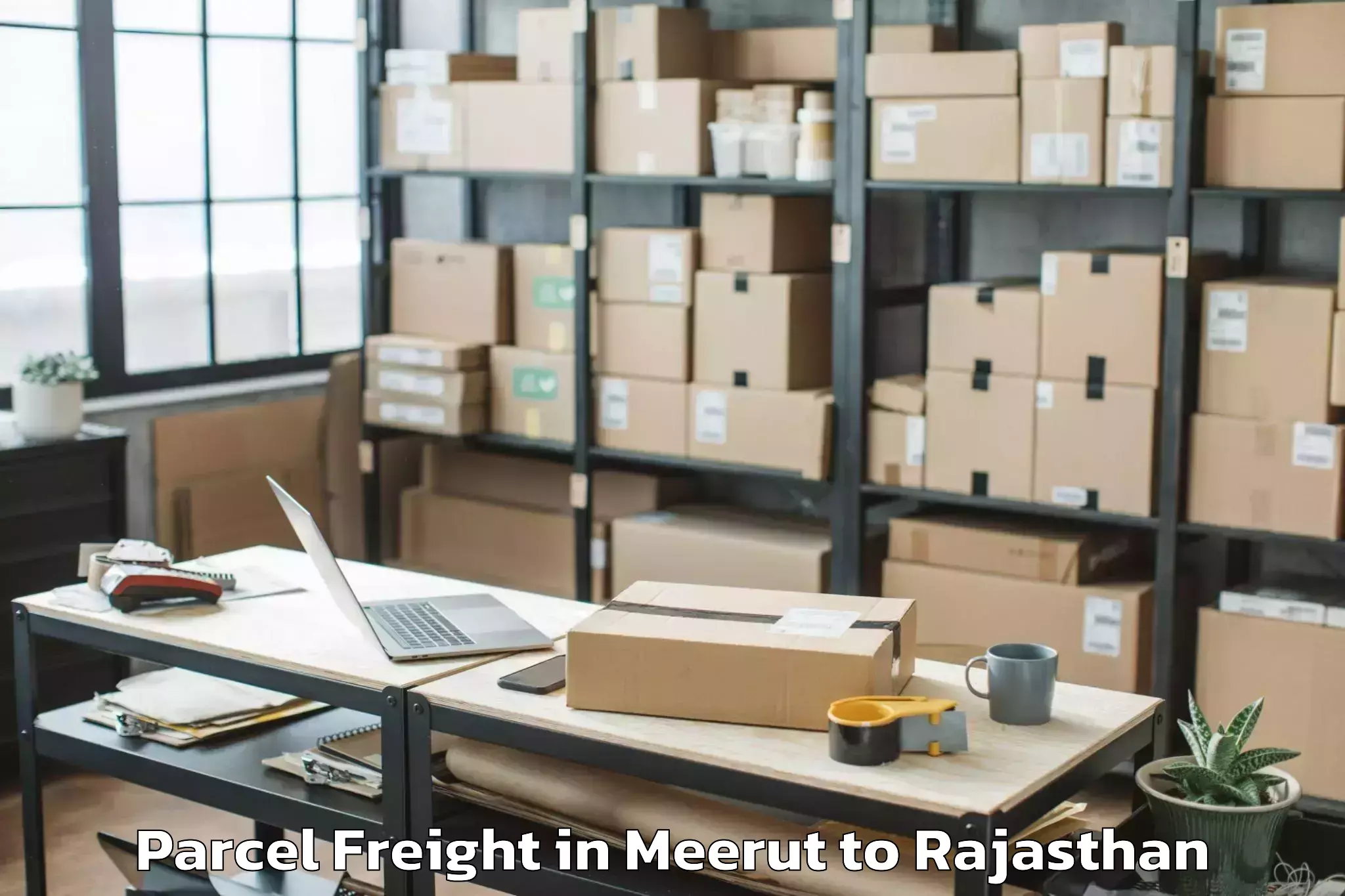 Discover Meerut to Gogunda Parcel Freight